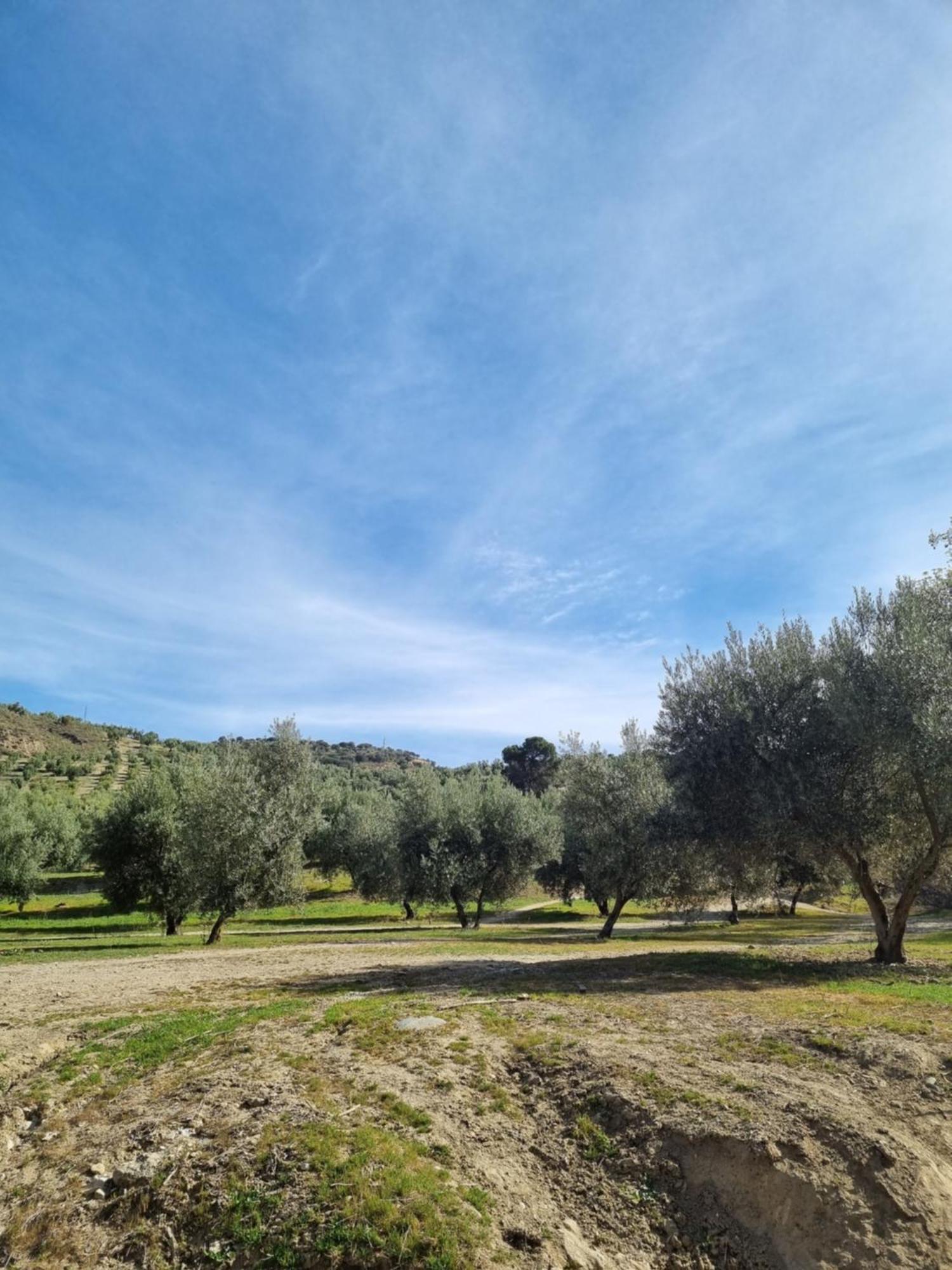 Appartamento La Colina Ladyblue Apto Acogedor Cerca De Sierra Nevada Y Alhambra Cenes De La Vega Esterno foto