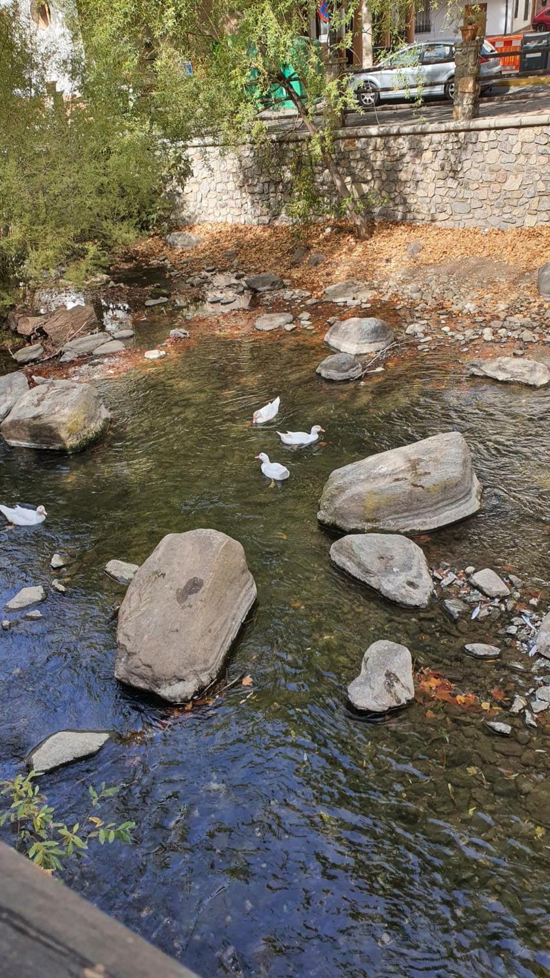 Appartamento La Colina Ladyblue Apto Acogedor Cerca De Sierra Nevada Y Alhambra Cenes De La Vega Esterno foto